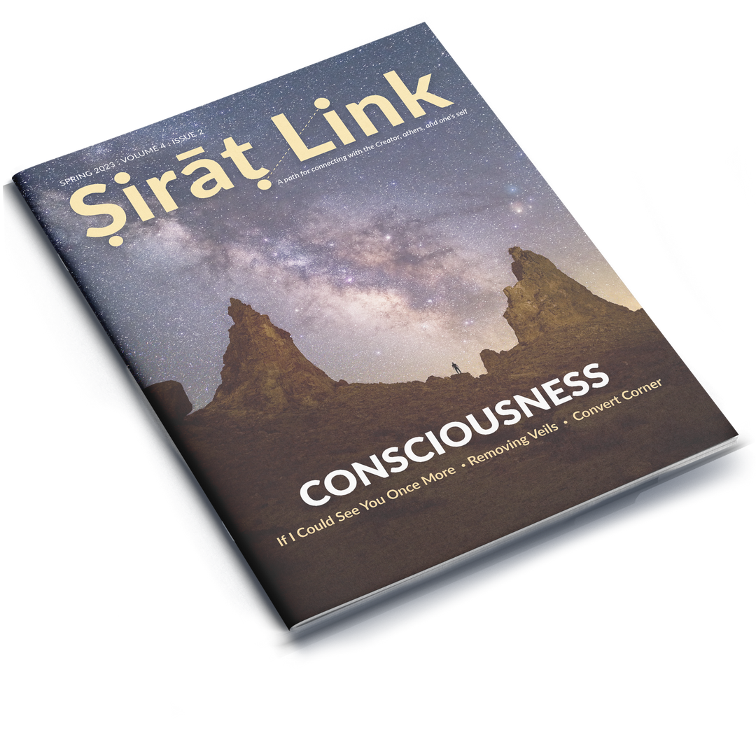 Sirat Link Spring 2023